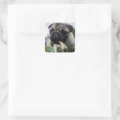 Personalisierter Mops Foto und Name Quadratischer Aufkleber (Tasche)