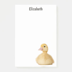 Personalisierter Name der niedlichen Ente Post-it Klebezettel