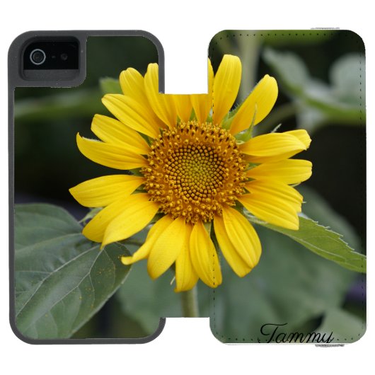Personalisierter Name der Sonnenblume Incipio iPhone Geldbeutel-Hülle (Folio Geöffnet)