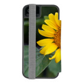 Personalisierter Name der Sonnenblume Incipio iPhone Geldbeutel-Hülle (Folio Rückseite)