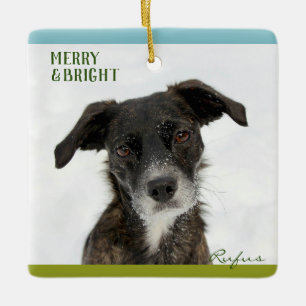 Personalisierter Name des besten Hundes oder des W Keramikornament