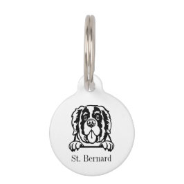 Personalisierter Name des Hundes St. Bernard Haustiermarke