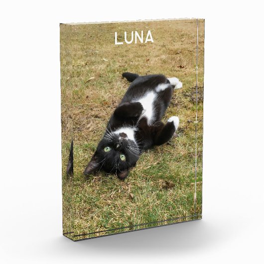 Personalisierter Name des Tieres Fotoblock (Links)