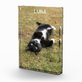 Personalisierter Name des Tieres Fotoblock (Rechts)