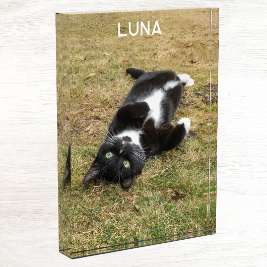 Personalisierter Name des Tieres Fotoblock