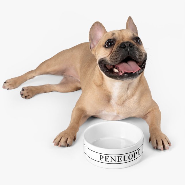 Personalisierter Name des Tieres Napf (Cute Personalized Pet Dog Bowl)