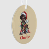 Personalisierter Name Deutsch Kurzpornografie Ornament (Vorderseite)