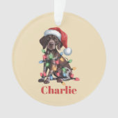 Personalisierter Name Deutsch Kurzpornografie Ornament (Vorderseite)