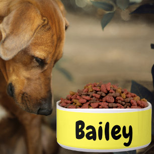 Personalisierter Name Foto Art Farbstift Groß Napf