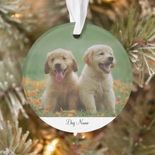 Personalisierter Name Foto Ornament (Baum)