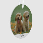 Personalisierter Name Foto Ornament (Vorderseite)