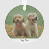 Personalisierter Name Foto Ornament (Rückseite)