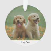 Personalisierter Name Foto Ornament (Vorderseite)