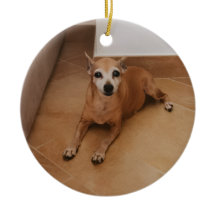 Personalisierter Name und Foto-Tiergedenkstein