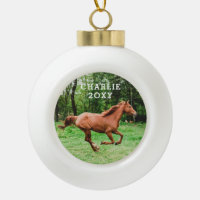 Personalisierter Name und Jahr Pferd Foto