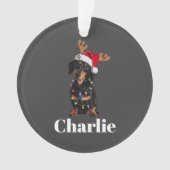 Personalisierter Name Weihnachten Dackel Hundelamp Ornament (Vorderseite)