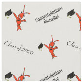 Personalisierter niedlicher Panzerkrebs-Abschluss Stoff (Nahaufnahme)