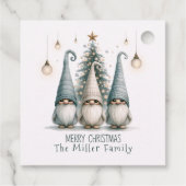 Personalisierter Niedlicher Weihnachtsgenom Geschenkanhänger (Rückseite)