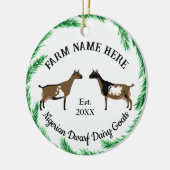 Personalisierter nigerianischer Zwerg Milchziege K Keramik Ornament (Links)