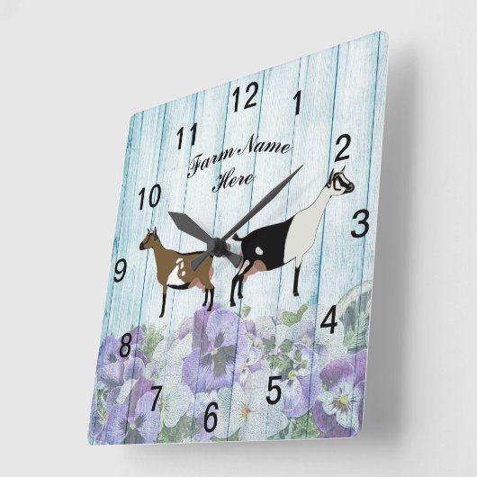 Personalisierter nigerianischer Zwerg Milchziegenf Quadratische Wanduhr (Winkel)