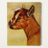 Personalisierter nigerianischer Zwerg Planer (Rückseite)