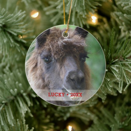 Personalisierter Pet Llama Foto & Name Weihnachtsb Keramikornament (Baum)