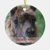 Personalisierter Pet Llama Foto & Name Weihnachtsb Keramikornament (Vorne)