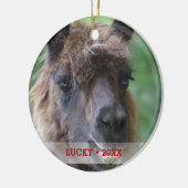 Personalisierter Pet Llama Foto & Name Weihnachtsb Keramikornament (Links)