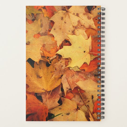 personalisierter Planer 2025 (Rückseite)