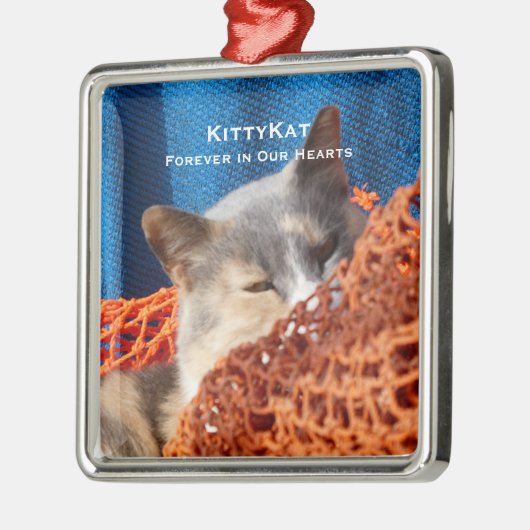 Personalisierter Premium-Speicher für Ihre Katze o Ornament Aus Metall (Links)