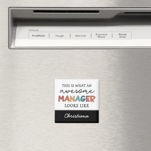 Personalisierter Retro-Phantastischer Manager Funn Magnet (In Situ (Geschirrspüler))
