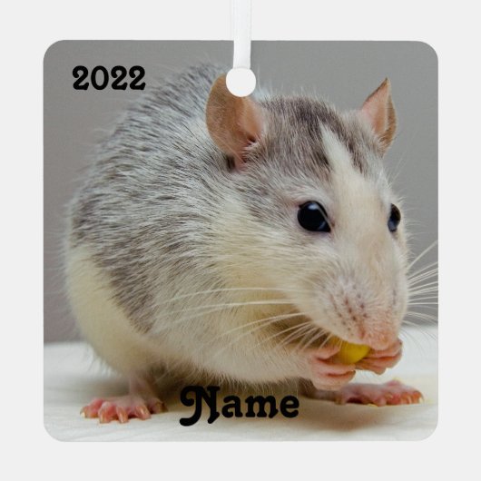 Personalisierter Roan Rattenrat Keramik Ornament Aus Metall (Rückseite)