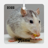 Personalisierter Roan Rattenrat Keramik Ornament Aus Metall (Vorderseite)