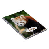 Personalisierter Roter Panda Notizblock (Rechte Seite)