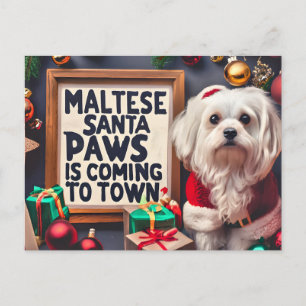 Personalisierter Santa Maltese Hund Frohe Weihnach Feiertagspostkarte