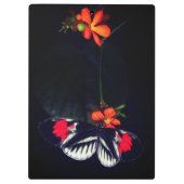 Personalisierter Schmetterling Klemmbrett (Rückseite)