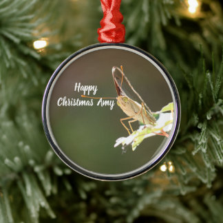 Personalisierter Schmetterlingsfoto-Weihnachtsschm Ornament Aus Metall