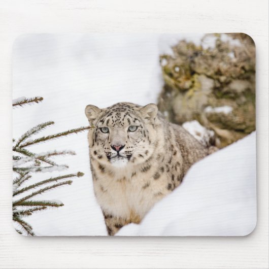 Personalisierter Schneeleopard Mousepad (Vorne)