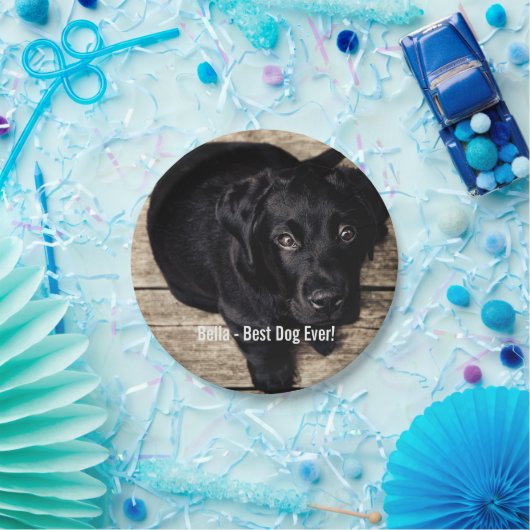 Personalisierter schwarzer Labrador-HundeFoto-und Pappteller (Party)