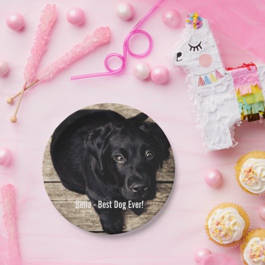Personalisierter schwarzer Labrador-HundeFoto-und Pappteller (Party)