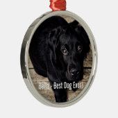 Personalisierter schwarzer Labrador-HundeFoto-und Silbernes Ornament (Rechts)