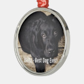 Personalisierter schwarzer Labrador-HundeFoto-und Silbernes Ornament (Links)