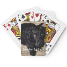 Personalisierter schwarzer Labrador-HundeFoto-und