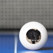 Personalisierter schwarzer Labrador-HundeFoto-und Tischtennisball (Netto)