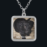 Personalisierter schwarzer Labrador-HundeFoto-und Versilberte Kette<br><div class="desc">Personifizieren Sie dieses Andenken mit dem Ihrem Foto des Hundes oder des Welpen und Namen (oder anderem Haustier- oder Personen-Foto/Namen). Text liest "besten Hund überhaupt" oder addiert Ihren eigenen Text - uns Liebe Bella (der Name des Hundes), der Geburtstag des Hundes oder Tag des Überschreitens. Klicken Sie einfach an "besonders...</div>
