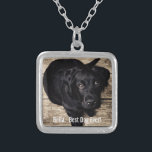 Personalisierter schwarzer Labrador-HundeFoto-und Versilberte Kette<br><div class="desc">Personifizieren Sie dieses Andenken mit dem Ihrem Foto des Hundes oder des Welpen und Namen (oder anderem Haustier- oder Personen-Foto/Namen). Text liest "besten Hund überhaupt" oder addiert Ihren eigenen Text - uns Liebe Bella (der Name des Hundes), der Geburtstag des Hundes oder Tag des Überschreitens. Klicken Sie einfach an "besonders...</div>