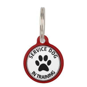 Personalisierter Service-Hund bei der Schulung des Tiernamensmarke