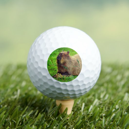 Personalisierter Spaß Capybara Tier Golfball (Insitu T-Shirt)