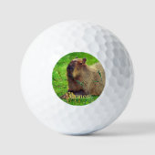 Personalisierter Spaß Capybara Tier Golfball (Vorderseite)