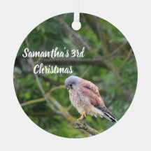 Personalisierter Sperber-Foto-Weihnachtsschmuck
